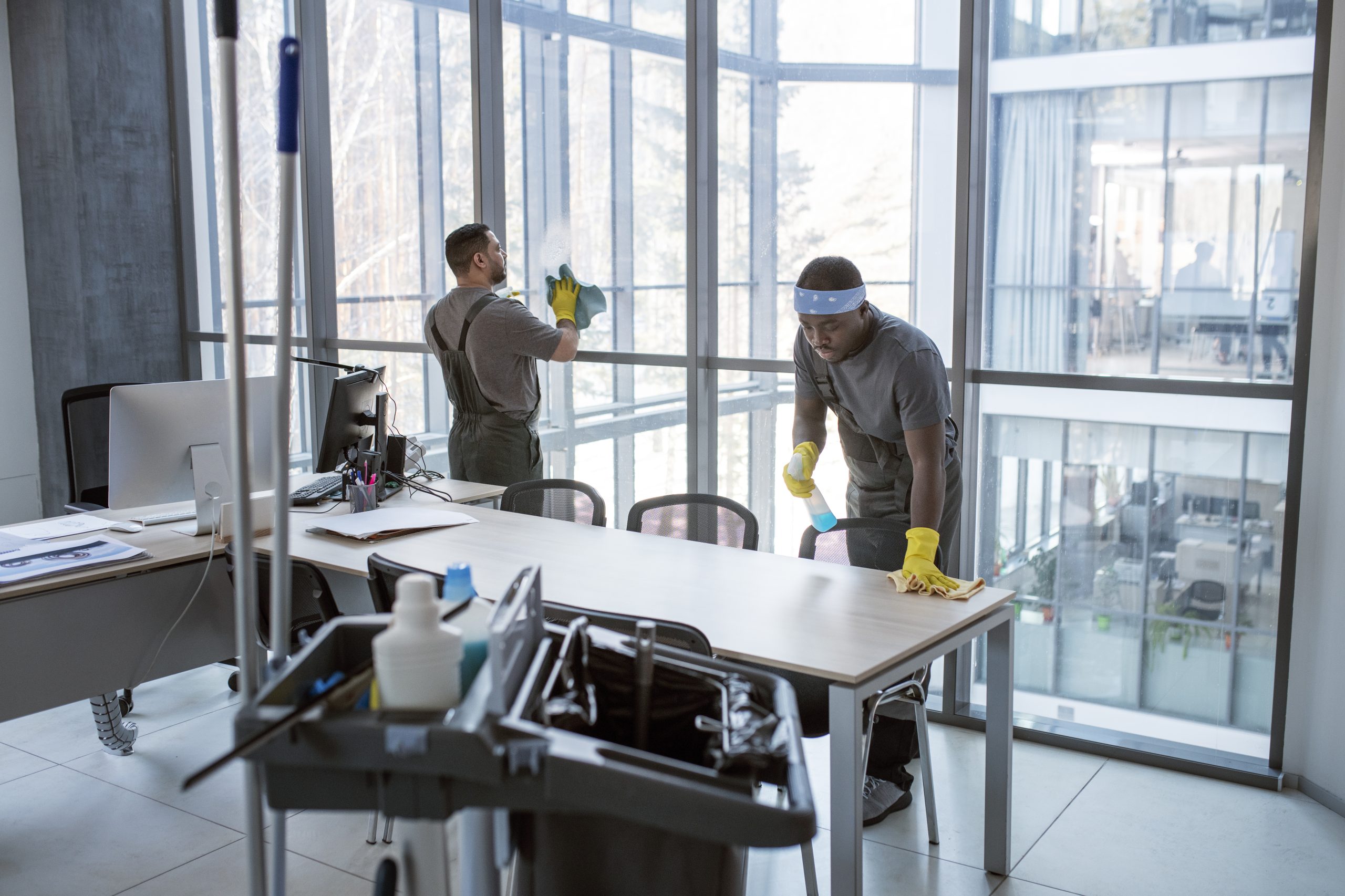 Top 10 Benefits of Professional Cleaning Services Ajman Ask ChatGPT
