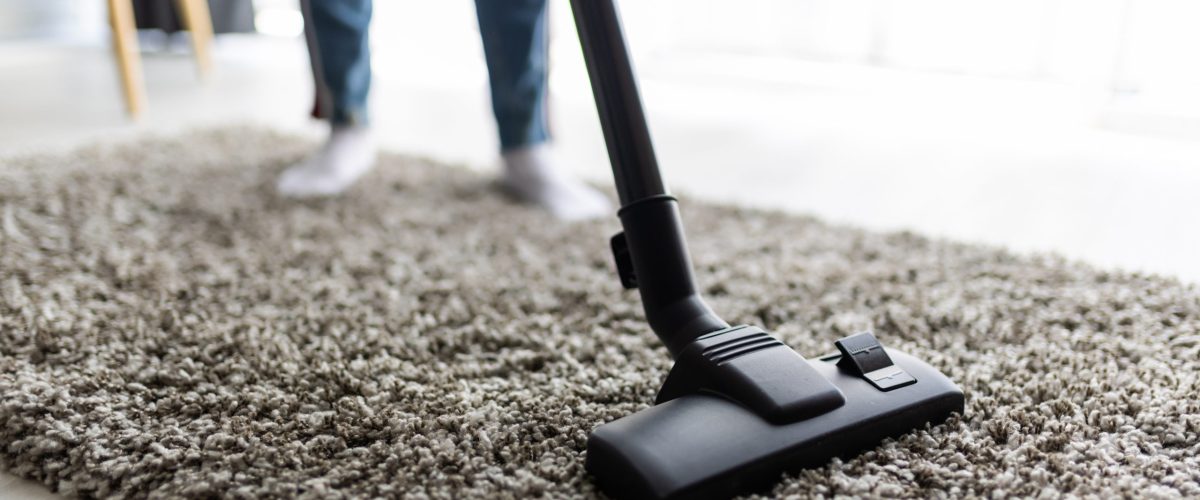 Close-up of vacuum cleaner head on a plush rug in a sunlit home interior